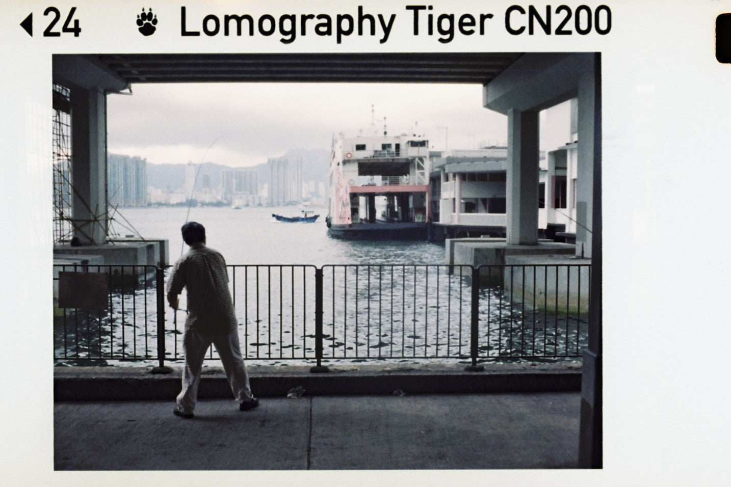 Lomography Tiger CN200 (110) - Filmm Store